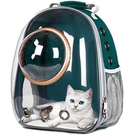 Sac à dos transparent pour chat et chaton de voyage avec petit 